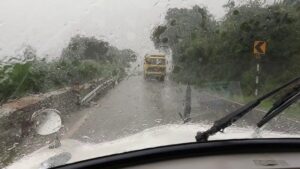 The Ultimate Guide to Surviving a Rainy Day